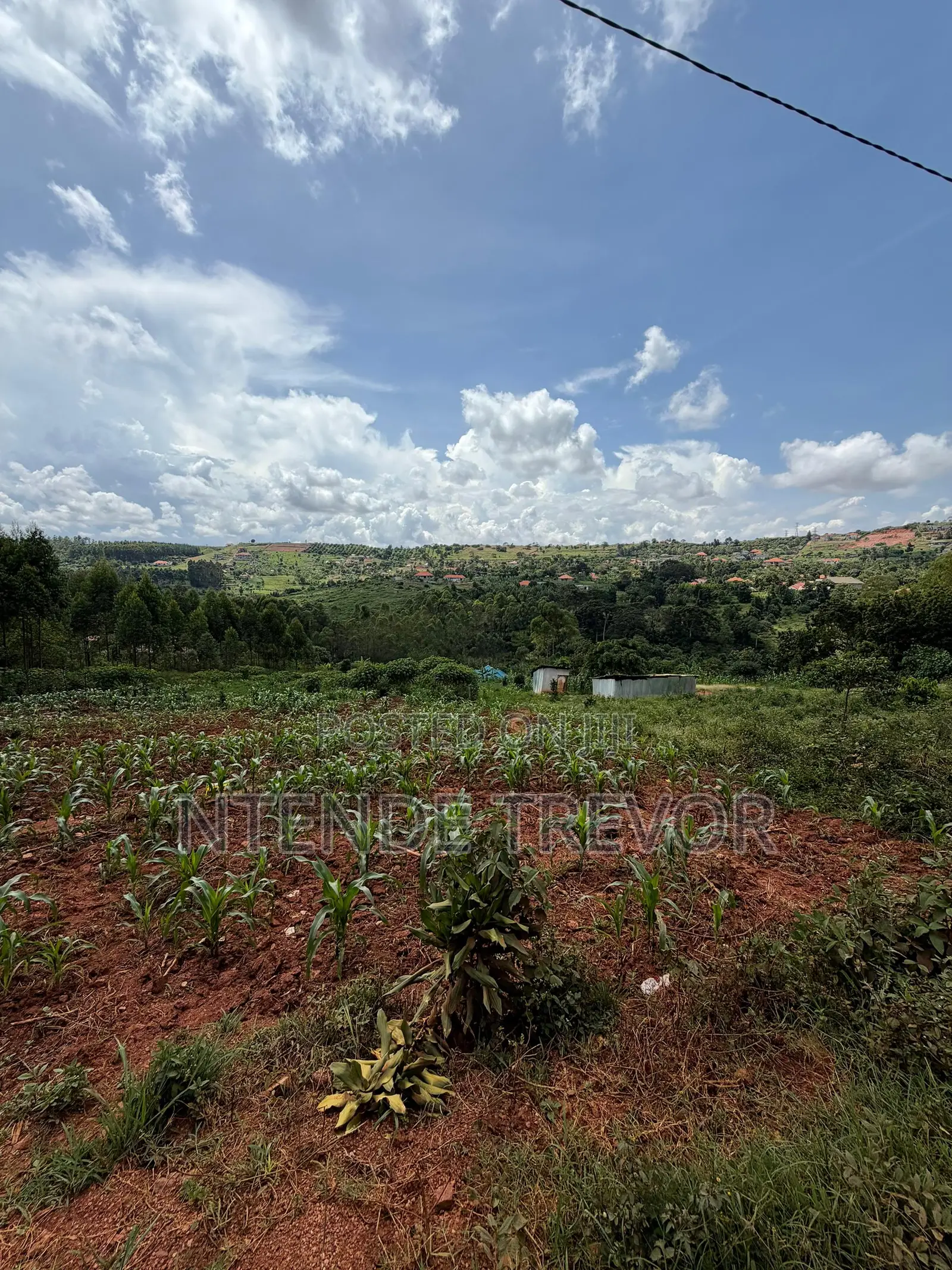 Half Acre Residential Plot for Sale in Ssisa-Kagakitende. Ready Title.