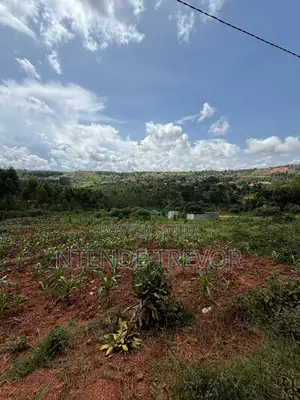 Half Acre Residential Plot for Sale in Ssisa-Kagakitende. Ready Title.