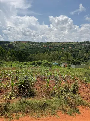 Half Acre Residential Plot for Sale in Ssisa-Kagakitende. Ready Title.