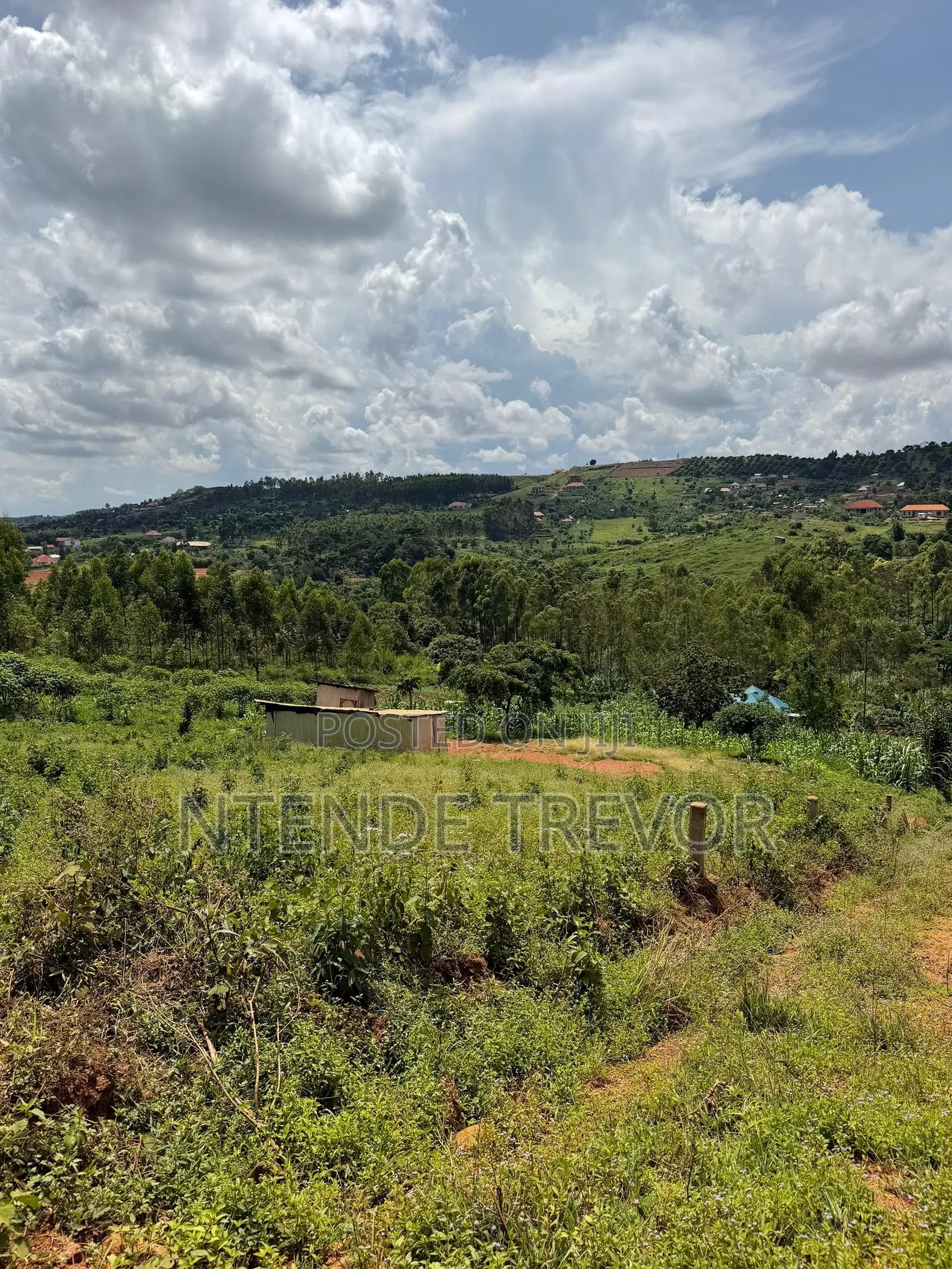 Half Acre Residential Plot for Sale in Ssisa-Kagakitende. Ready Title.