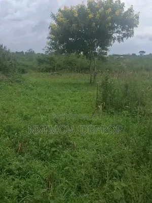 Well Fenced 320 Acres Of Farm Land
