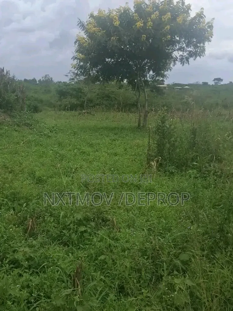 Well Fenced 320 Acres Of Farm Land