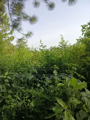 Well Fenced 320 Acres Of Farm Land