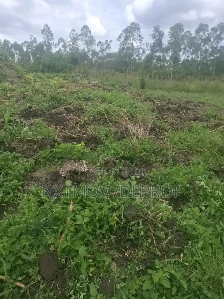 100 Acres Sold as a Whole