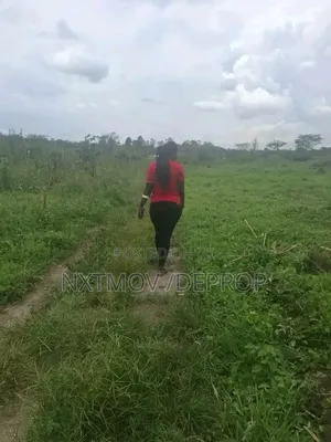 100 Acres Sold as a Whole
