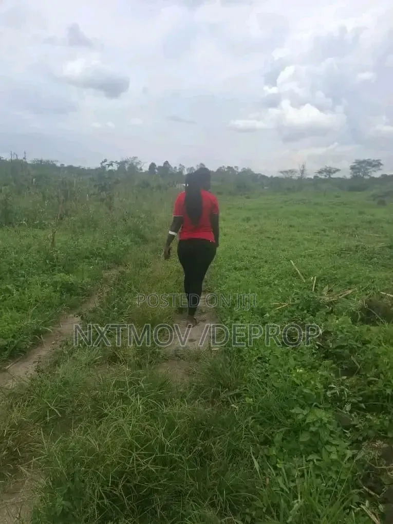 100 Acres Sold as a Whole