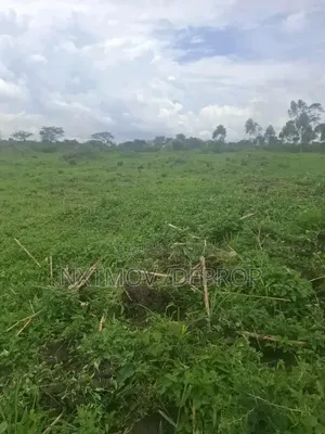 100 Acres Sold as a Whole