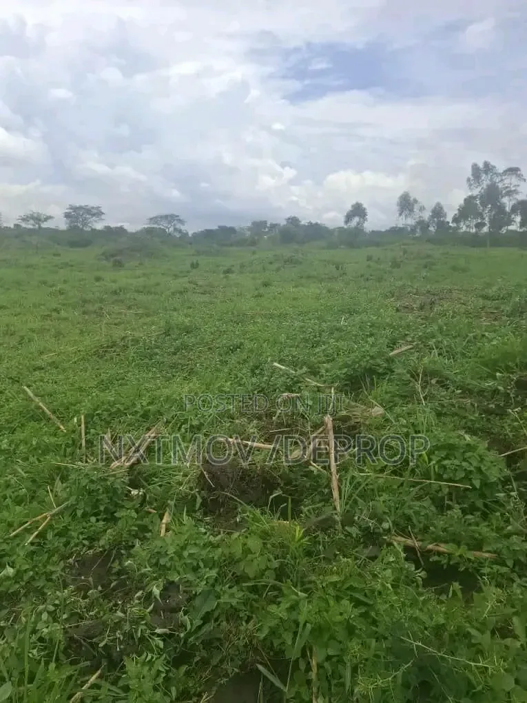 100 Acres Sold as a Whole