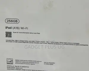New Apple iPad Wi-Fi 256 GB Pink