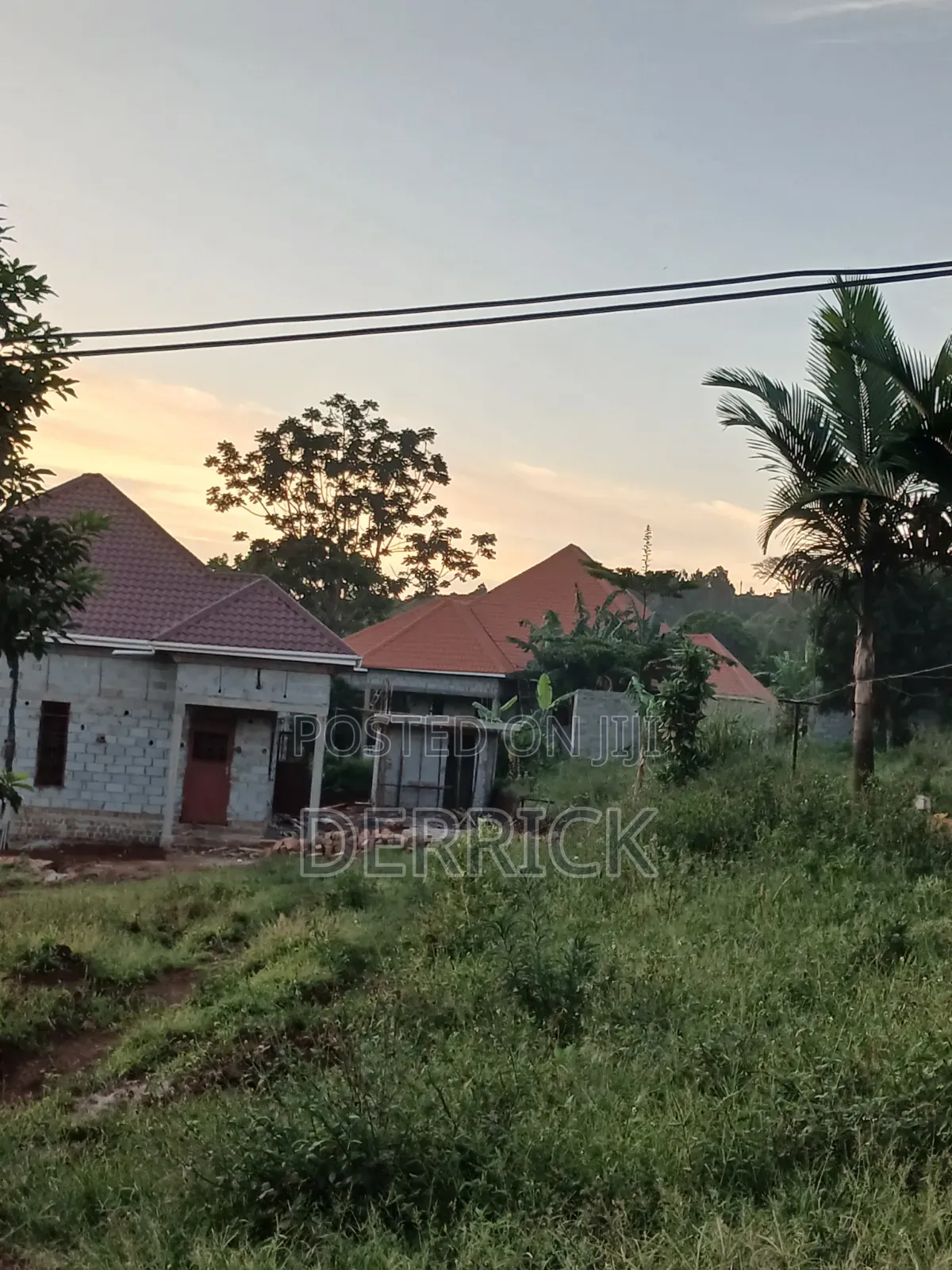Budo Land on Sale