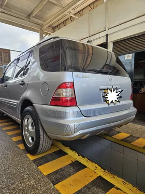 Mercedes-Benz M Class ML 320 2002 Silver