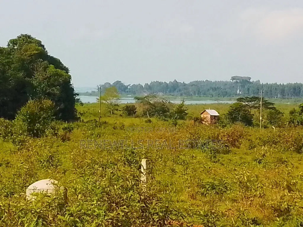 Land for Sale in Entebbe Buwaya- Sazi 50 by 100 Titled in an Estate