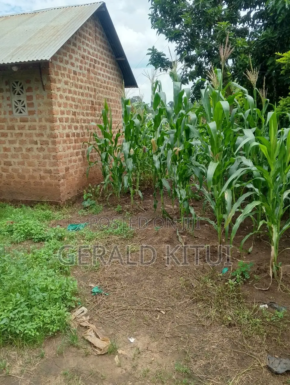 Plot for Sale in Mukono Plus a 2 Roomed House as You Can See