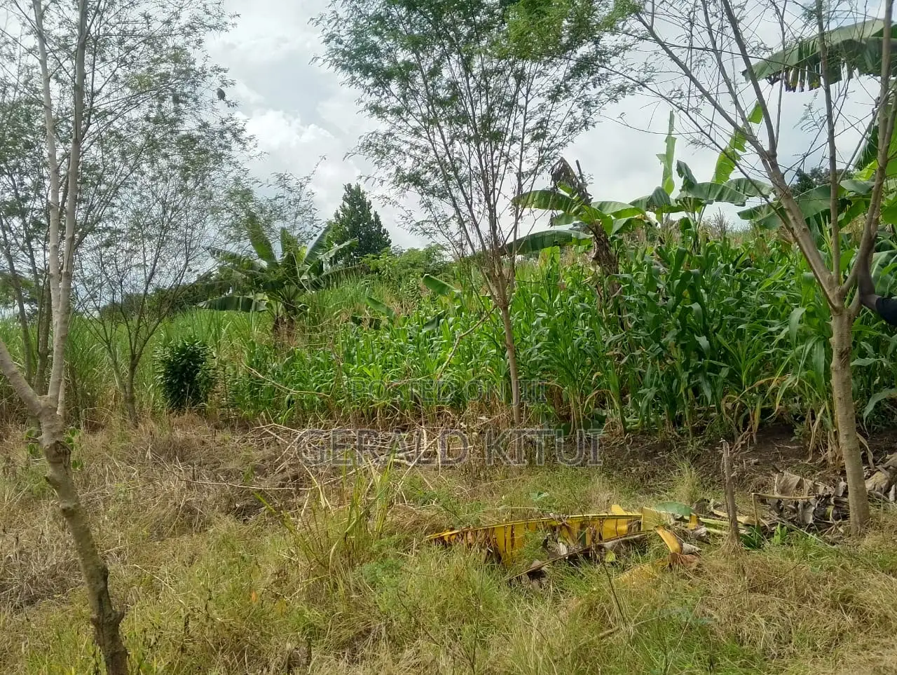 Plot for Sale in Mukono Plus a 2 Roomed House as You Can See