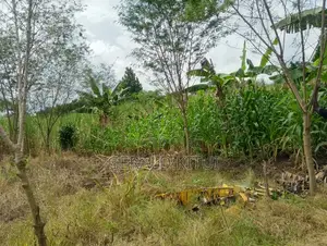 Plot for Sale in Mukono Plus a 2 Roomed House as You Can See