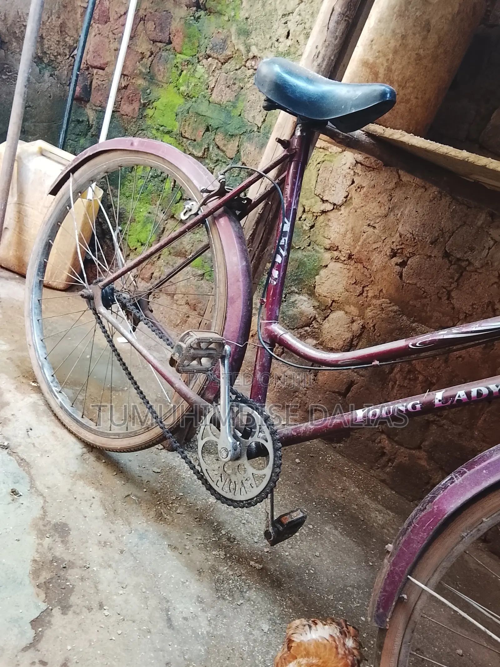 A Bicycle for Sale