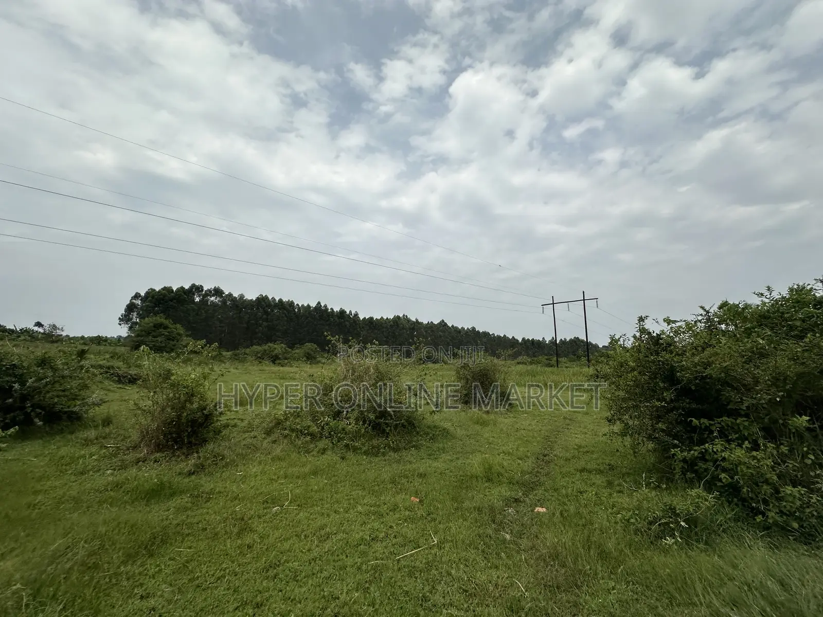 25 Acres of Land in Gomba for Sale