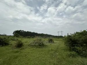 25 Acres of Land in Gomba for Sale