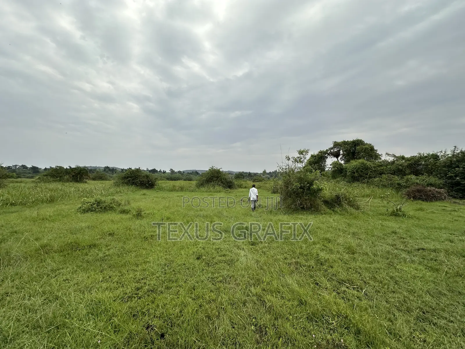 25 Acres of Land in Gomba for Sale