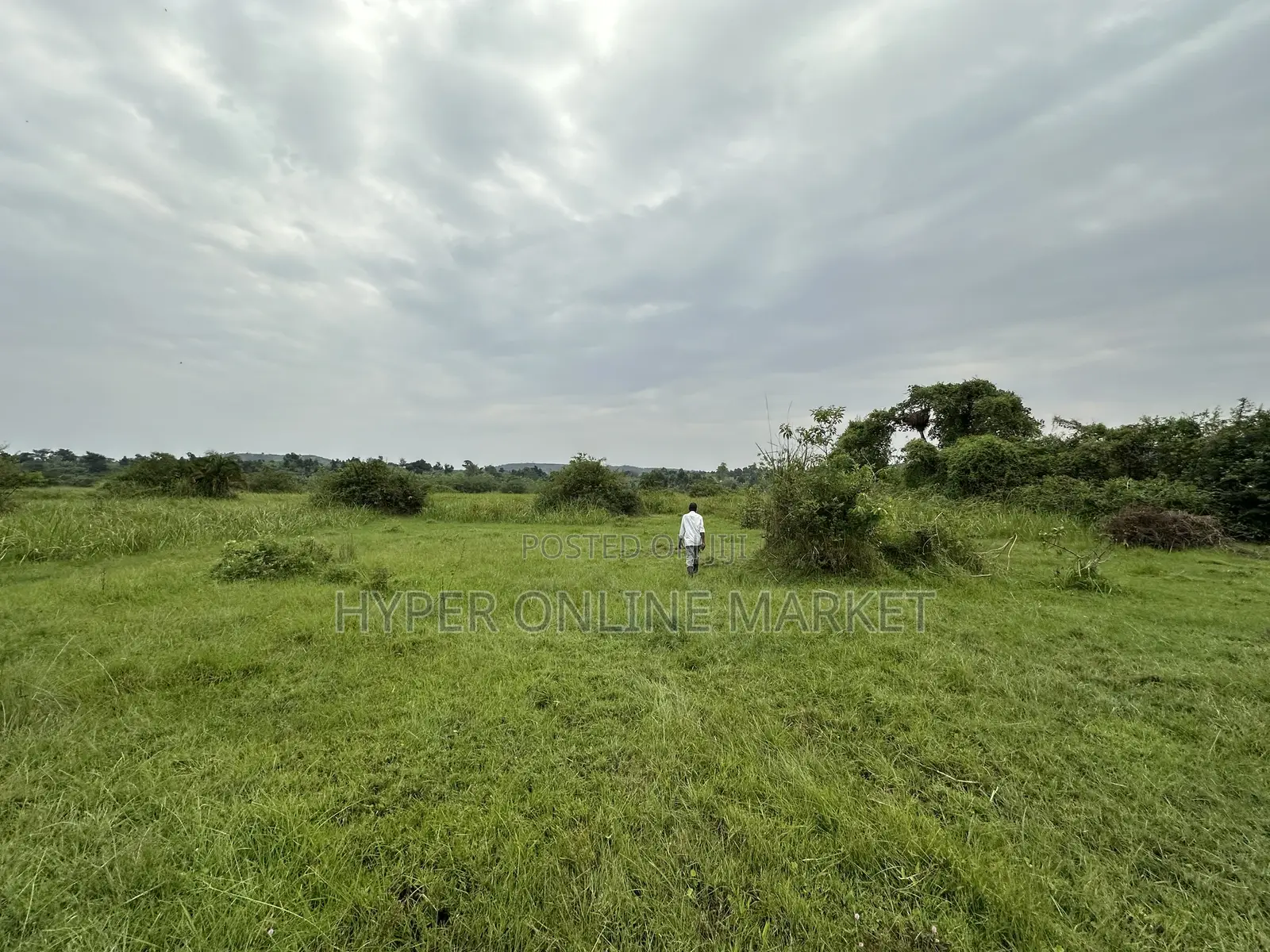 25 Acres of Land in Gomba for Sale