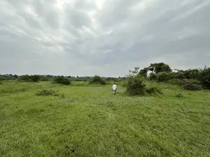 25 Acres of Land in Gomba for Sale