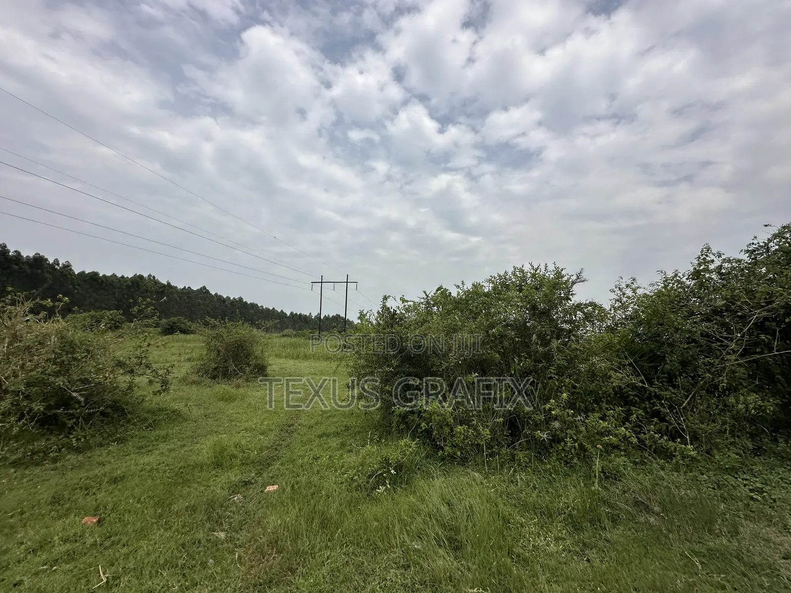 25 Acres of Land in Gomba for Sale