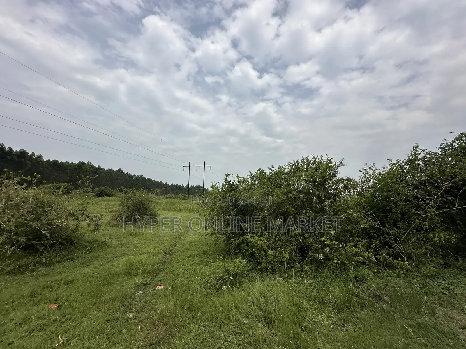 25 Acres of Land in Gomba for Sale