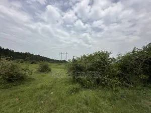25 Acres of Land in Gomba for Sale