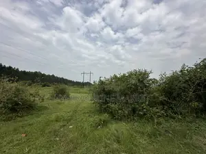 25 Acres of Land in Gomba for Sale
