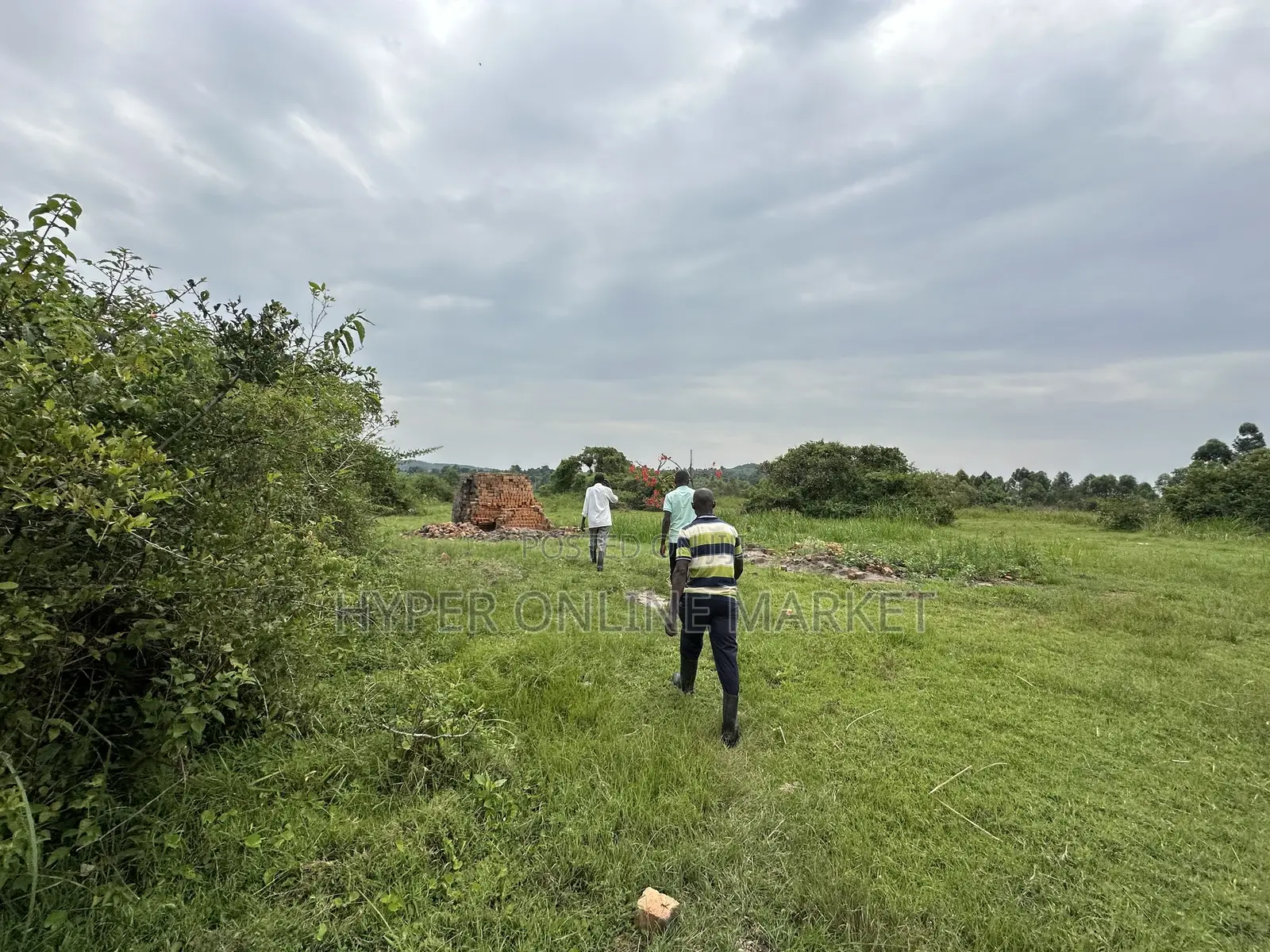 25 Acres of Land in Gomba for Sale