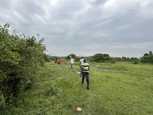 25 Acres of Land in Gomba for Sale