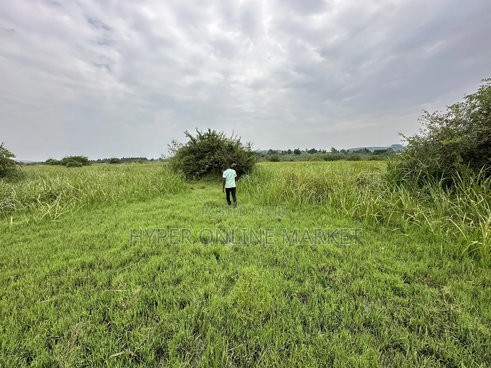 25 Acres of Land in Gomba for Sale