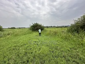 25 Acres of Land in Gomba for Sale