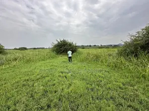 25 Acres of Land in Gomba for Sale