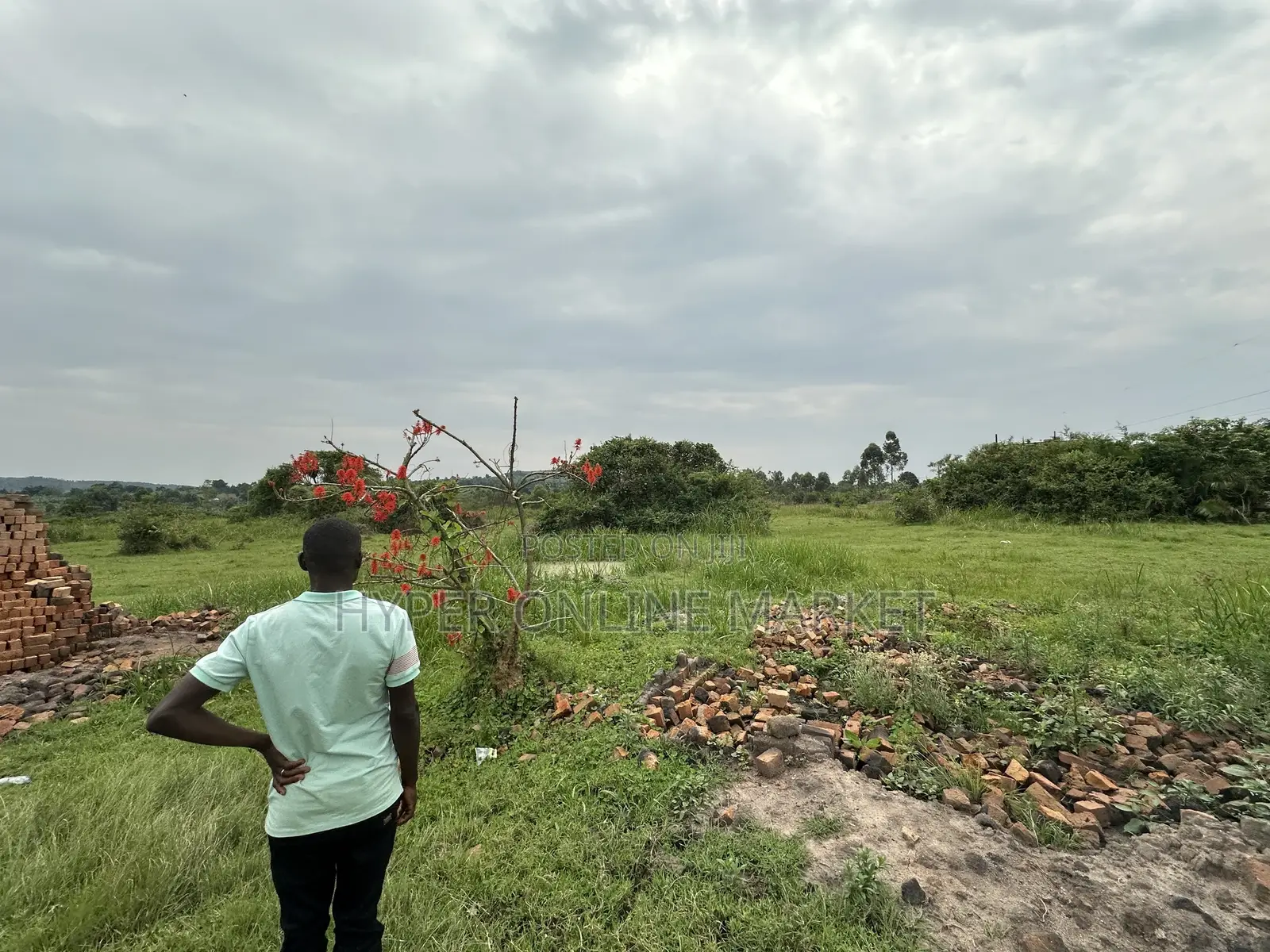 25 Acres of Land in Gomba for Sale