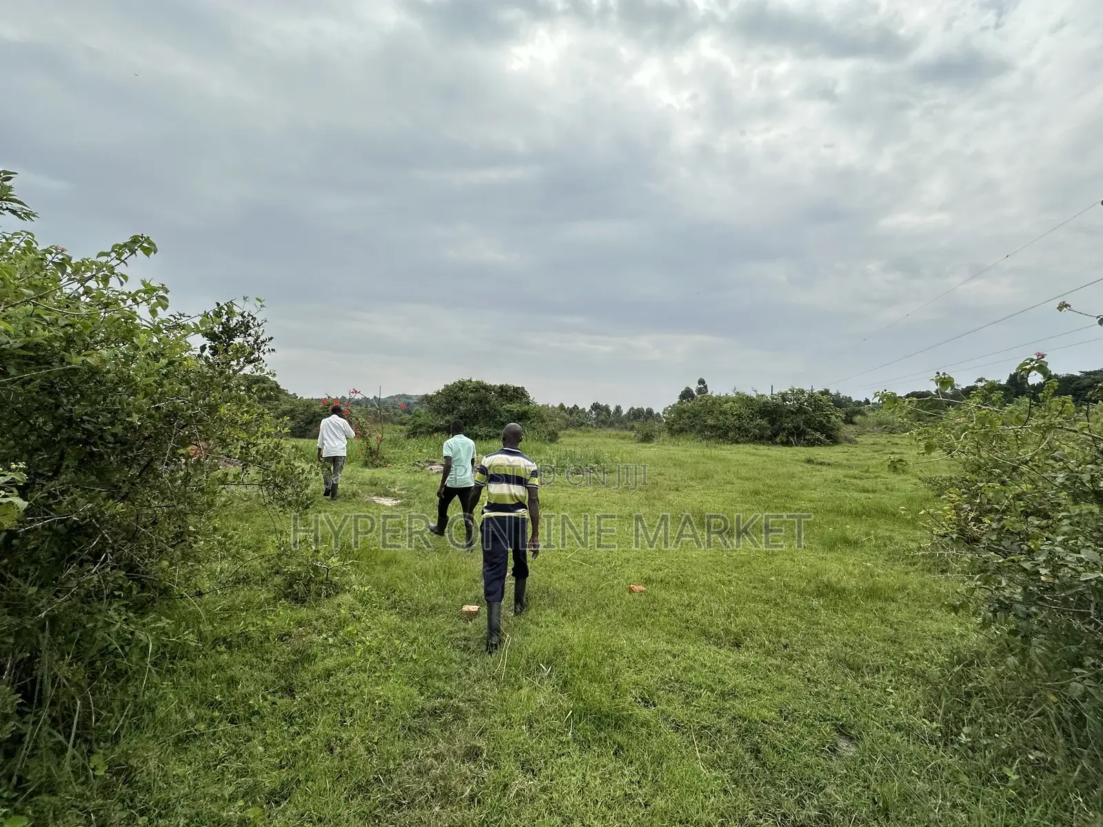 25 Acres of Land in Gomba for Sale