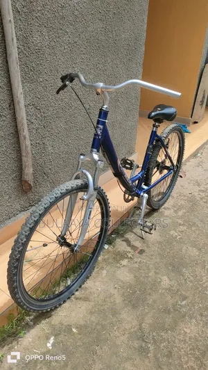 Germany Used Diamondback Serene Classic Unisex Comfort Bike.