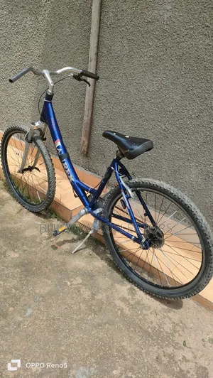 Germany Used Diamondback Serene Classic Unisex Comfort Bike.