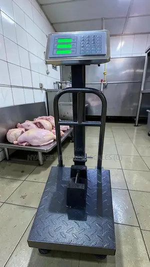 Digital Weighing Scale Butcher 185kg Weigh Shop Digital Weighing Scale
