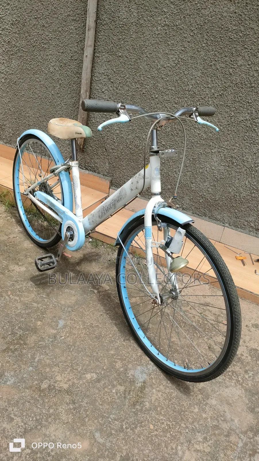 Japanese Bridgestone Ecopal 22-Inch Children's Bicycle.
