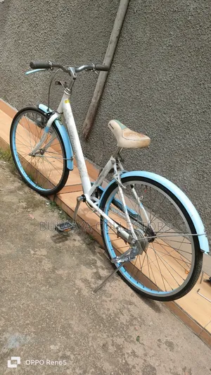 Japanese Bridgestone Ecopal 22-Inch Children's Bicycle.