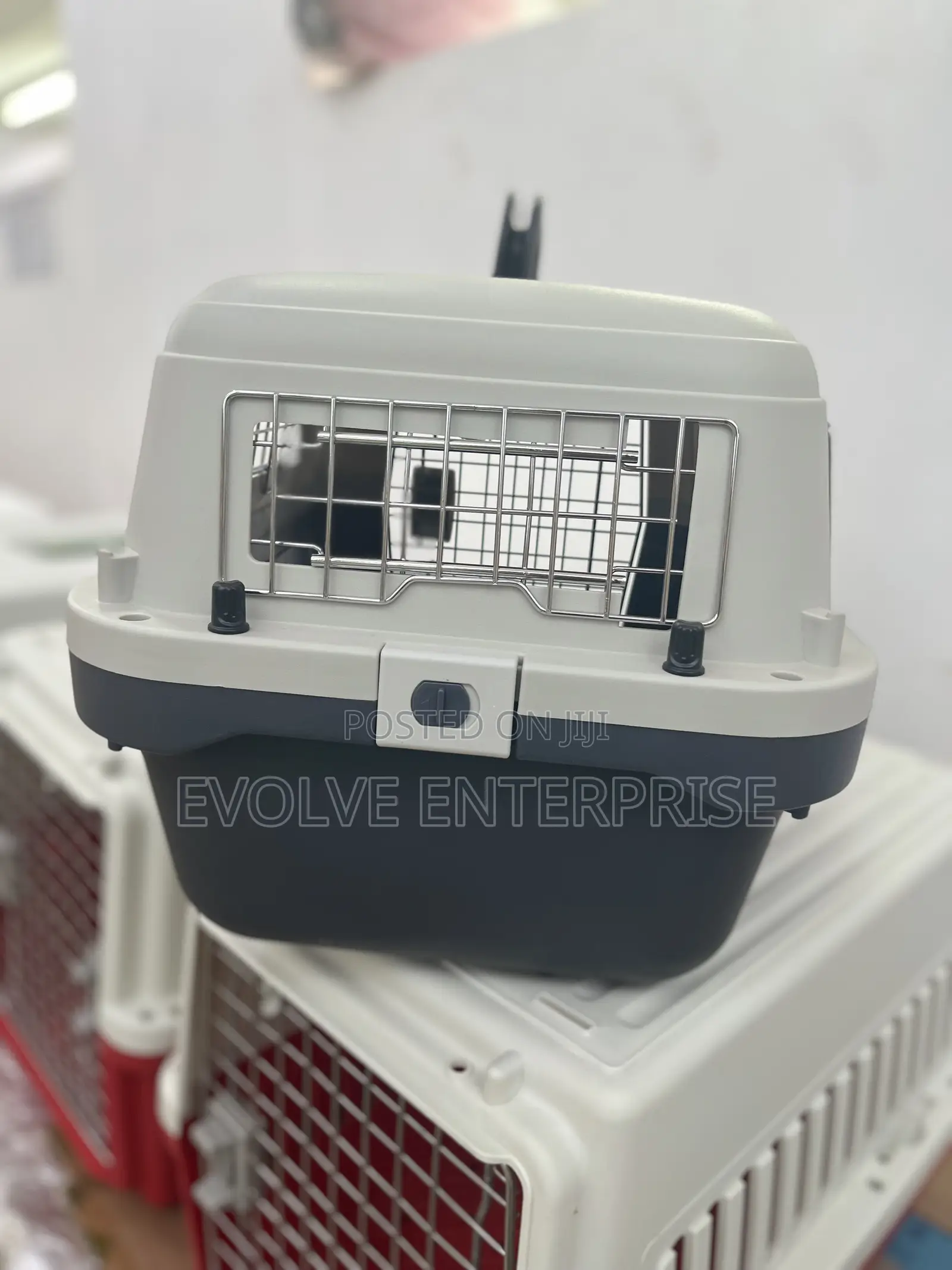 Petmate Sky Kennel for Air and Travel Airline Compliant Dog Crate
