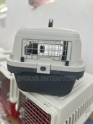 Petmate Sky Kennel for Air and Travel Airline Compliant Dog Crate