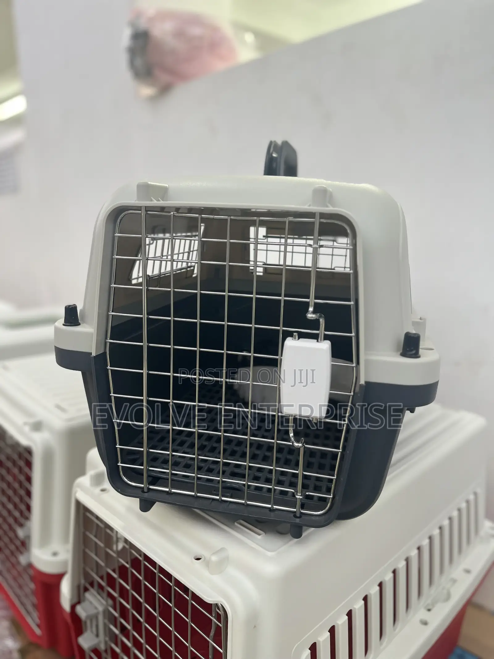 Petmate Sky Kennel for Air and Travel Airline Compliant Dog Crate
