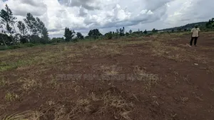 Land for Sale in at Busika 50 by 100