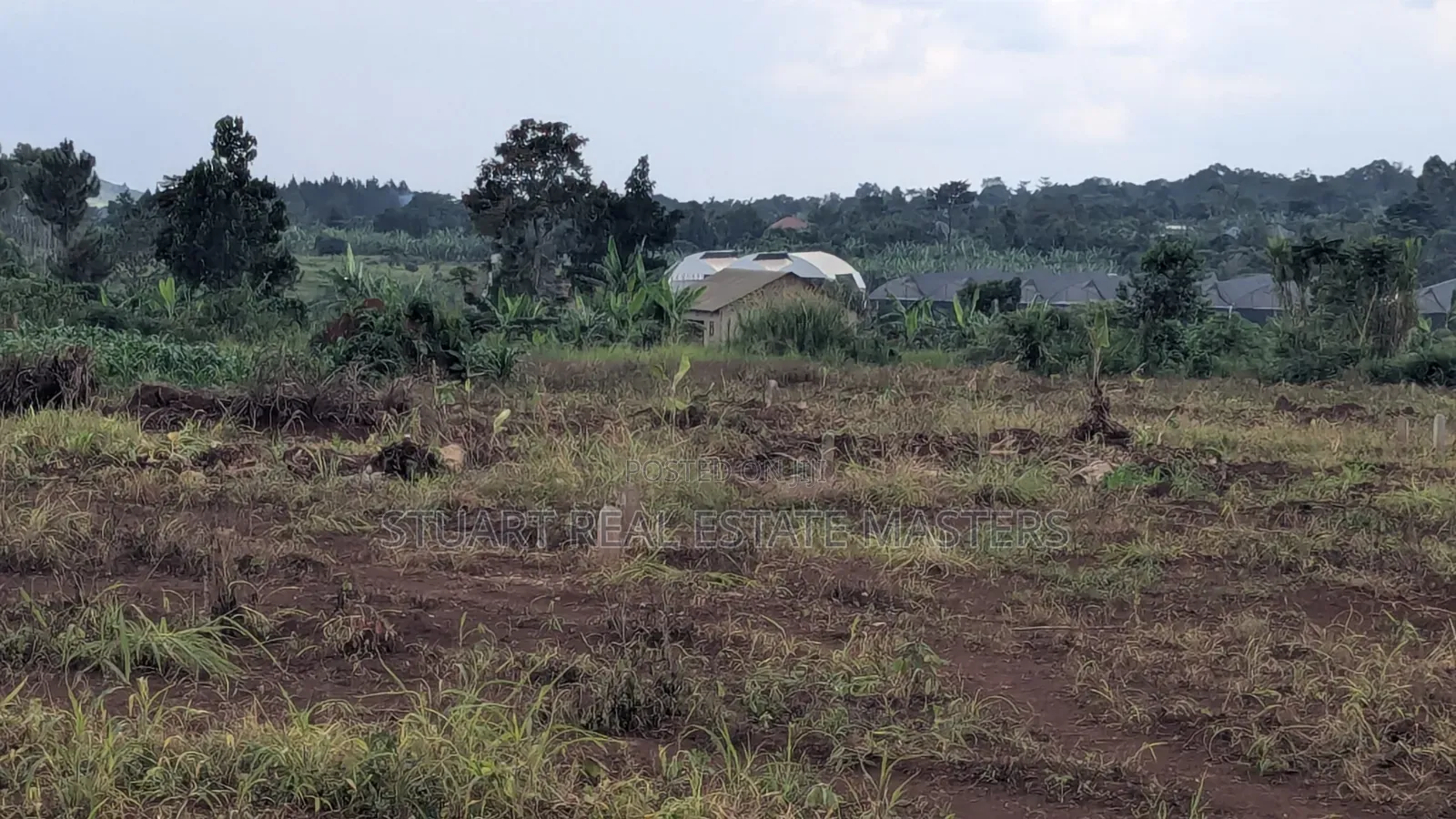 Land for Sale in at Busika 50 by 100
