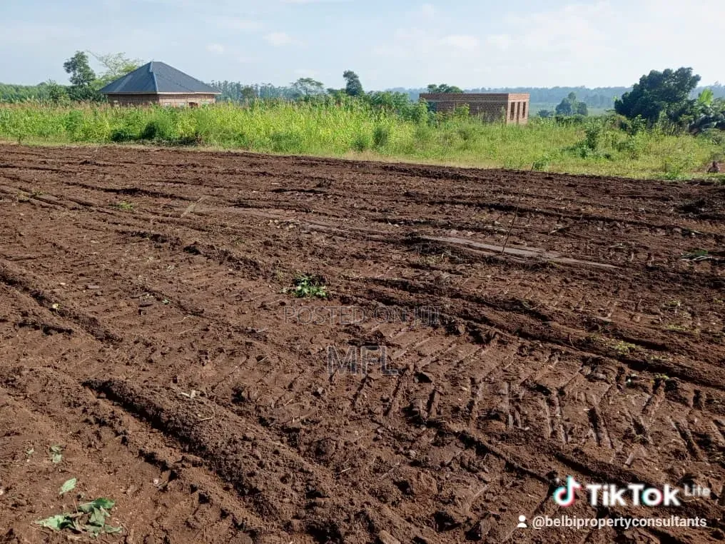 Namayumba Kasanga Plots