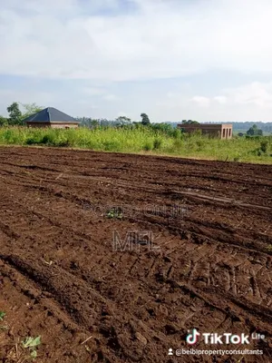 Namayumba Kasanga Plots