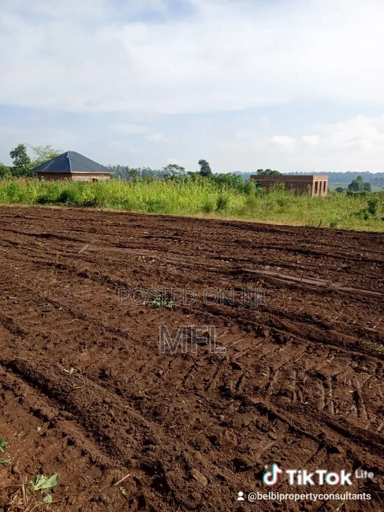 Namayumba Kasanga Plots