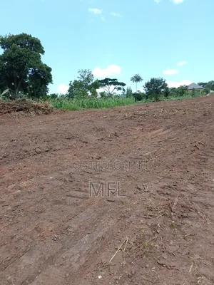 Nampunge Roadside Estate